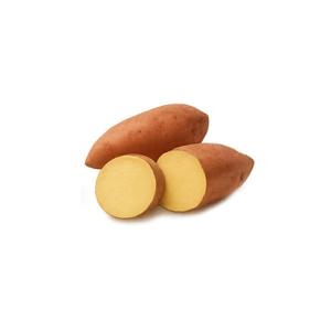 꿀고구마 한입 3kg 별미중에별미 간식
