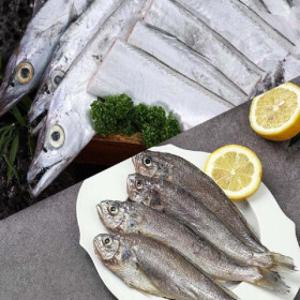 해담은갈치 150g19마리분량(총57토막)+굴비500g2팩(20마리)
