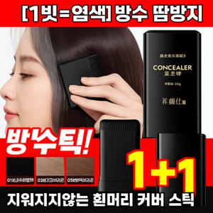 1+1양안스 헤어스틱  흰머리 새치커버 + 워터프루프  정수리·옆머리·뿌리커버 자연발색 헤어틴트