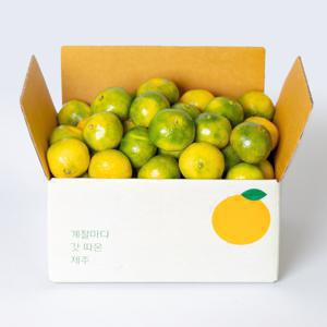 (신선집중) 깨비농원 첫수확 노지감귤 3kg 소과(2S)