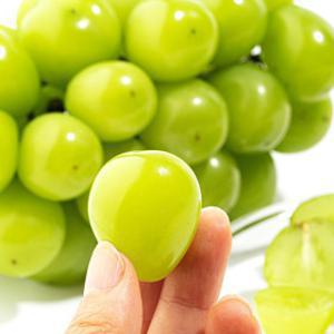 포도 (300개 한정) 25년 첫 수확 김천 실속 샤인머스켓 2kg (3-4수)