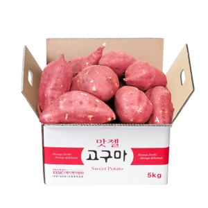 (신선집중) 고구마 햇고구마 밤고구마 대사이즈 5kg 2025년 수확