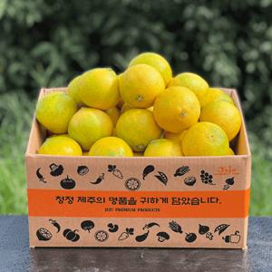 황금향 제주황금향 선물세트 가정용 3kg(실중량 2.5kg) / 중소과(21과내외) 특가 판매 배송비 무료