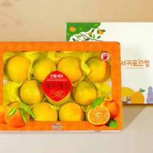 (신선집중) 한정수량 20%중복) 서귀포인정 제주 황금향 2.5kg 로얄과 선물세트 / 7-12과 / 선물추천