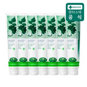 덴티스테치약 뉴플러스화이트 200g 7개