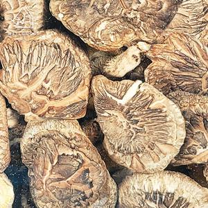 [웰굿] 진안직송 명품 참나무 표고버섯 200g(실속,소)