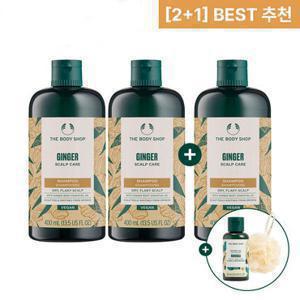 [정가 73,000원] 더바디샵 진저 스캘프 케어 샴푸 2+1세트 (샴푸 3개)