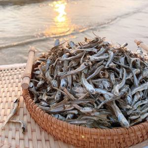 국산 고바멸치 1kg 상급 안주멸치 조림멸치 소멸치