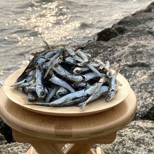 통영 다시멸치 1.5kg 실속 국물멸치 육수용멸치 멸치