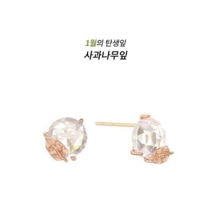 [GB] 탄생잎 1월 사과나무잎 10K GOLD 귀걸이 LPTJ119AT