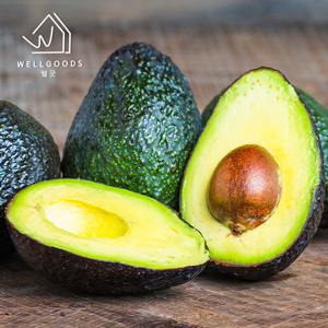 [웰굿] 숲속의 버터 생 아보카도 5개(개당220g내외,대과)