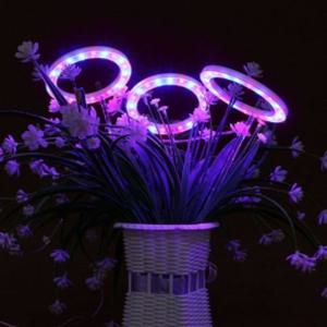 엔젤링 화분 LED 식물등(3헤드) (레드+블루) 식물램프 식물등 식물생장등 식물성장등 식물조명 식물전구 식물재배등 식물램프 다육이램프