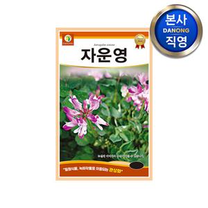 자운영꽃 씨앗 1kg . 녹비 작물 식물 화단 꽃밭 관상용 야생화 꽃씨 종자.