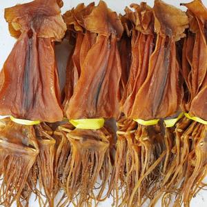 국내가공 쫄쫄이오징어(중대) 550g 10미