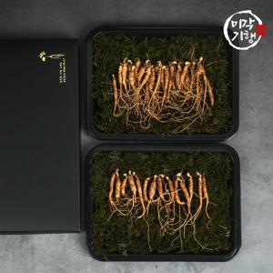 미각기행 강원도 못난이 산양산삼 5~6년근 10g(5~10뿌리)