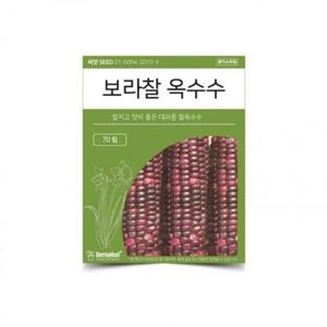 보라찰 옥수수 씨앗 채소 농사 (WFI94CC)