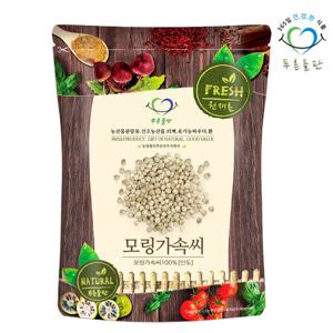 [푸른들판] 모링가 속씨 씨앗 500gx1봉