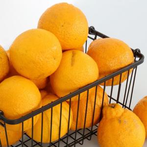 [다농이네] 새콤달콤 한라봉  2kg 7-8과(중과)