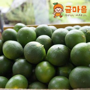 귤마을 제주직송 청귤 풋귤 5kg 혼합과