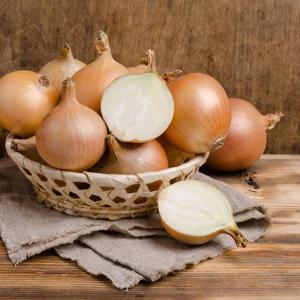 [산지직송] 25년 햇 무안양파 10kg (특소,소 혼합)