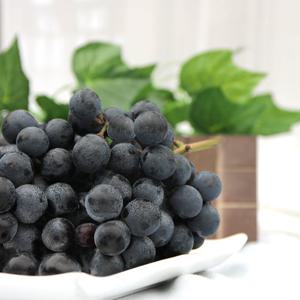 가을 포도 머루포도 3kg(특)