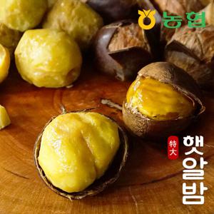 [농협] 토실토실 햇밤 순창 알밤 특대 3kg (제수용)