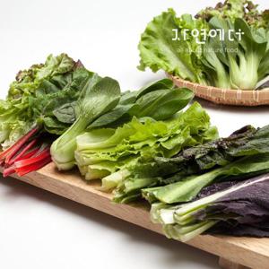 충주 친환경 유기농 쌈채소 1kg - 5~7종