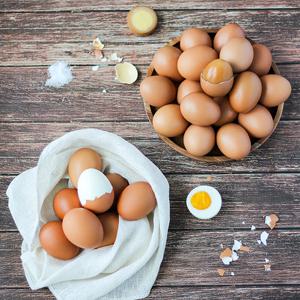 구운란(중란) 30구+반숙란(대란) 30구 HACCP 인증 구운계란,반숙계란