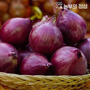 [농부의정성] 무안 자색 양파 중대혼합 10kg