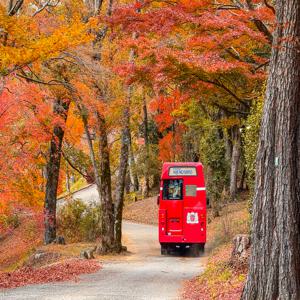 도쿄 출발: 후지산 절경과 유서 깊은 마을 슈젠지 산책 투어