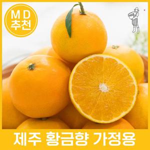 [지장샘농장] 제주 황금향 가정용 1.5kg 2.5kg 4.5kg