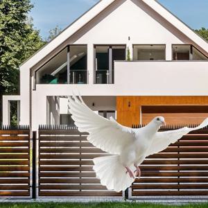 12Pcs 울타리 벽 스파이크 조류 억제 스파이크 플라스틱 안티 등반 고양이 동물 구충제 정원 울타리 조류 비둘기 스파이크