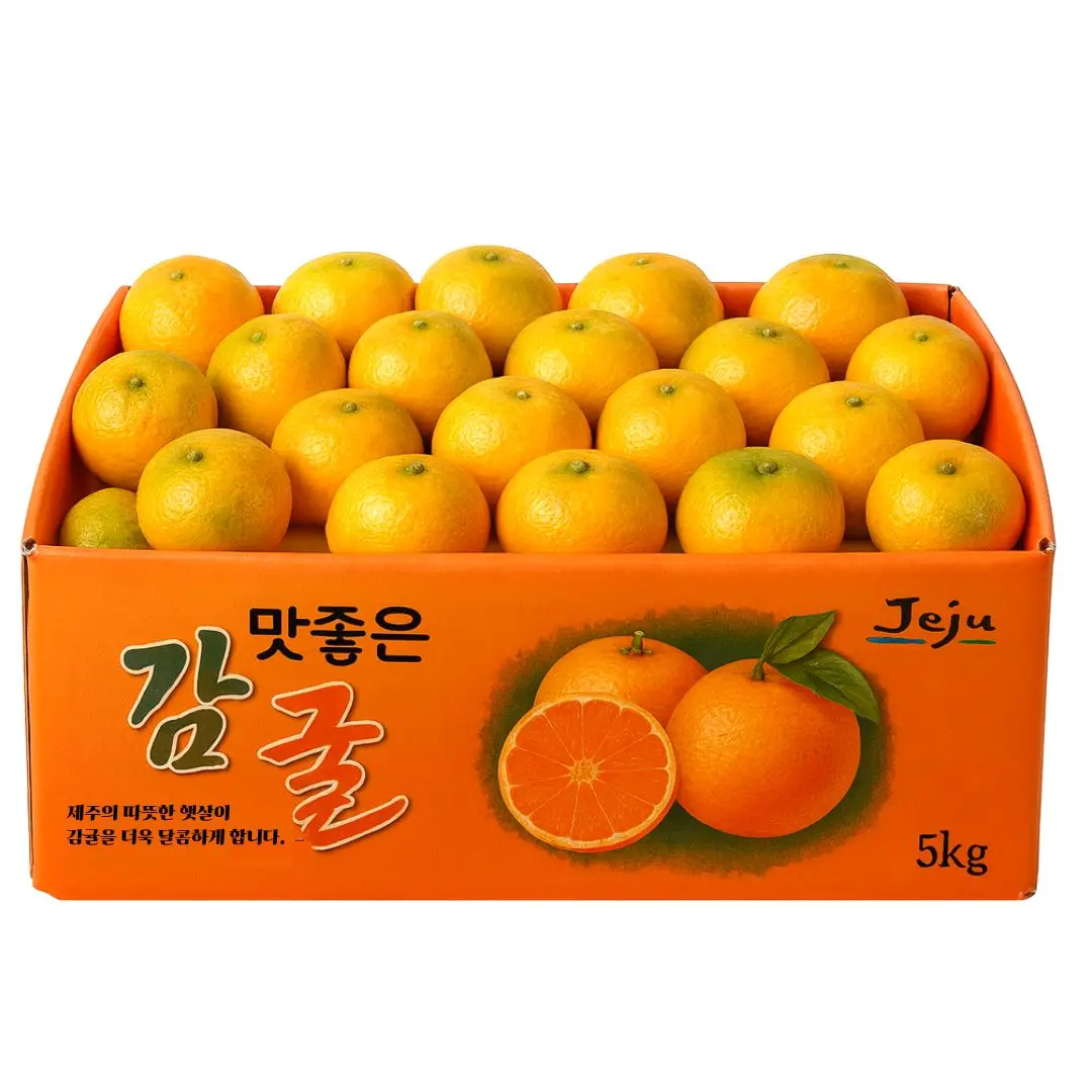 [알리특가] 제주 농장직송 노지 귤 5kg 제주귤 제주땡큐베리팜 제주도귤 극조생 조생귤 감귤 제주땡큐베리팜