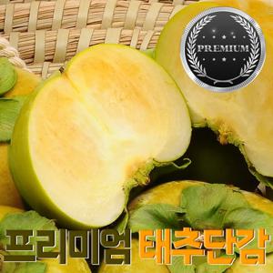 경남밀양 프리미엄 태추단감 배단감 / 당일수확 산지직송