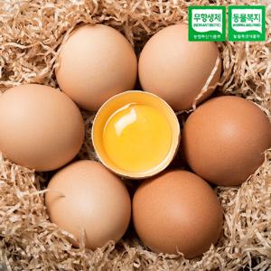 무항생제 유정란(난각번호1번) 20구~ 당일산란 당일포장 동물복지 고소하고 신선~ 잔류농약/살충제 불검출!
