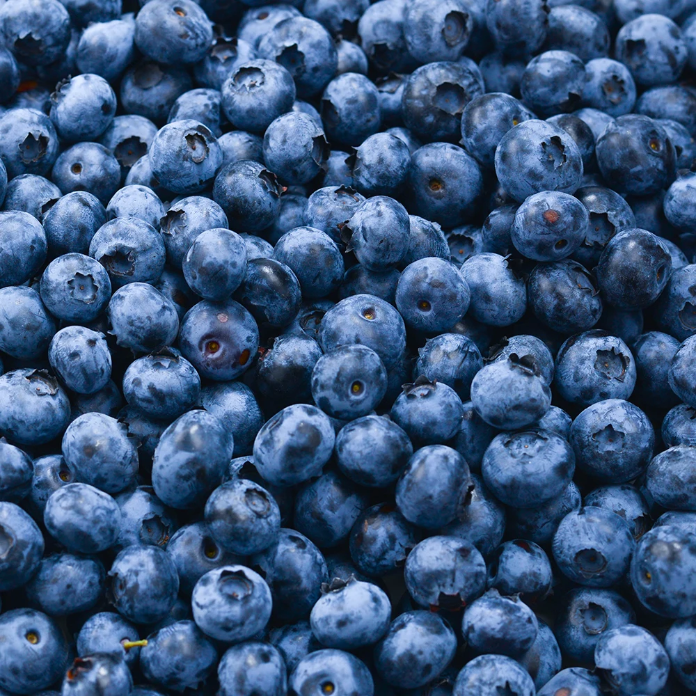 무첨가 100% 냉동 블루베리 1kg x 3팩