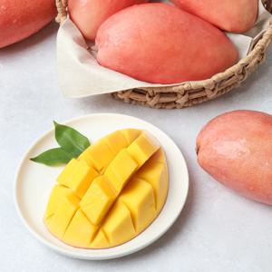 피치망고 복숭아망고 프리미엄 고당도 희귀 망고
