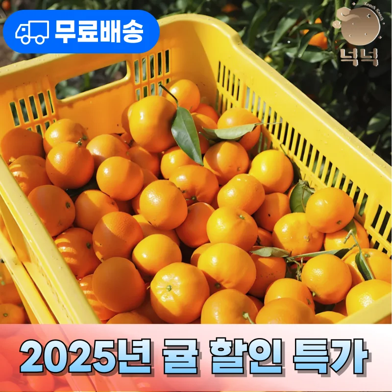 [넉넉] 상큼 달콤 국내산 귤 5kg 2L, 노지 감귤, 귤 대과 /실중량 4.5kg