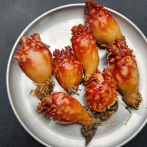 [푸디앤]  활 멍게 1kg (5-10미) / 바다향 그대로! 바다 그 자체!