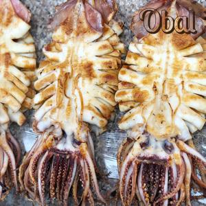 오발 오징어 반건조 5마리 750g 진공포장 해산물 간식 해바라기 어류 가공식품