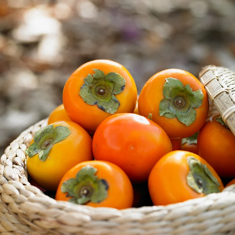 국내산 단감 2kg~ 소 중 대 달콤한 가을맛! 아삭하고 단단 달콤한 제철과일 산지직송
