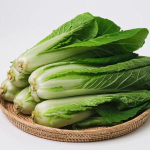 식명관 전라도 산지직송 얼갈이 배추 3.75kg