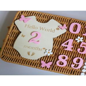 나무 마일스톤 아기 달력 성장 칩 아기 달력 월을 기념하기 위해 사진을 찍으세요