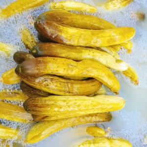 꼬독꼬독~한 식감! 통오이지(10/20/30개)