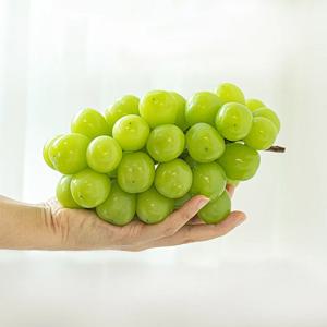 event_고당도 샤인머스켓 망고스킨(고당도 보장)