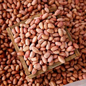 볶음땅콩 500g x 2봉 [총 1kg]