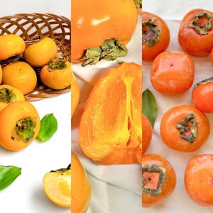 단감 대봉감 청도반시 달콤 아삭 부드러운 가을 감 3종