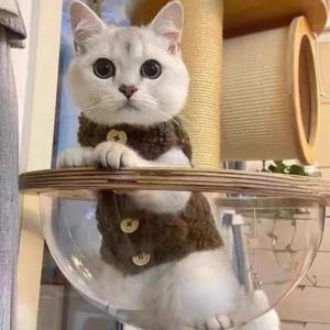 고양이 뽀글이 후리스 조끼 겨울 고양이옷 강아지옷 고양이옷 강아지옷 고양이겨울옷