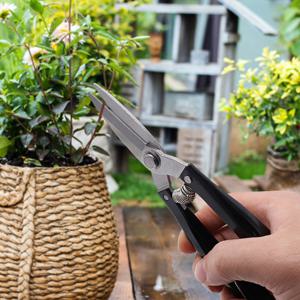 올스텐 적과 전지가위 2p세트 블랙