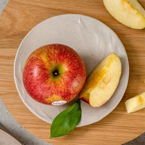 고당도 가정용 엔비사과 1.5kg 소과 (10과내외) 外 과수별 중량별